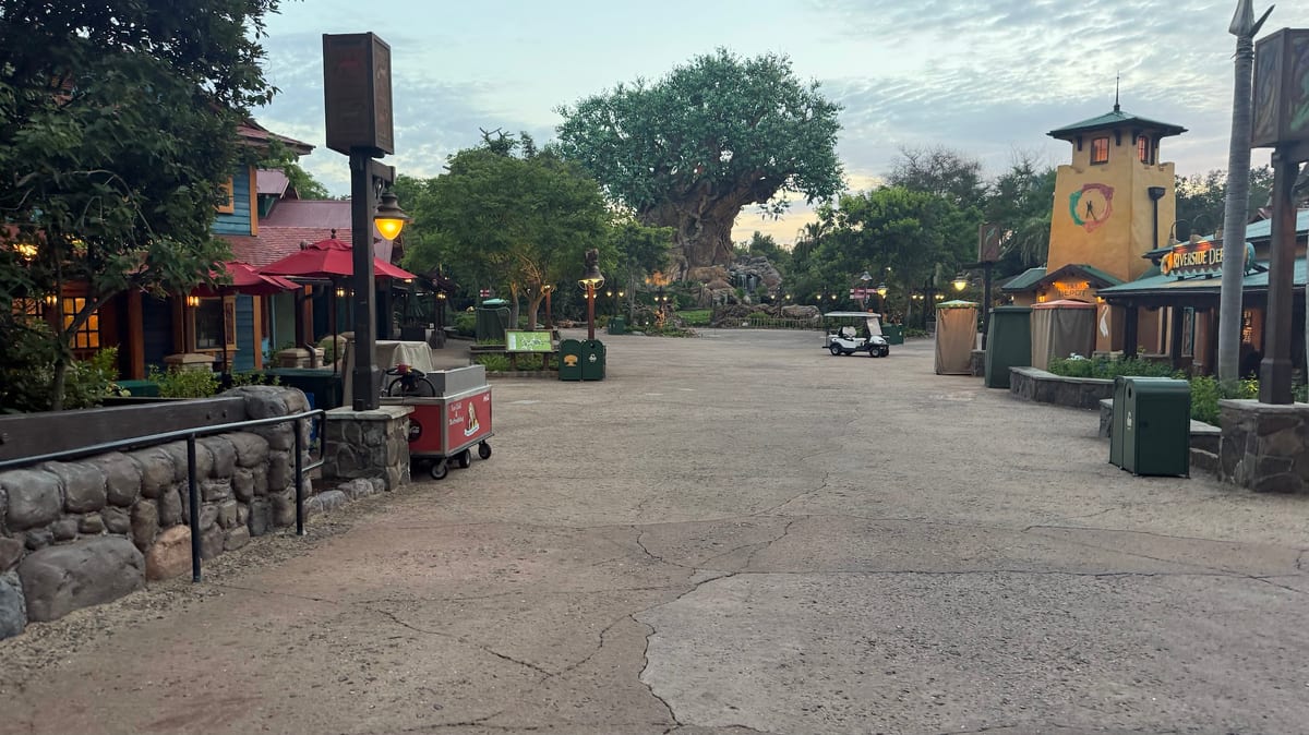 An empty Discovery Island walkway at dawn with the Tree of Life in the background at Disney's Animal Kingdom