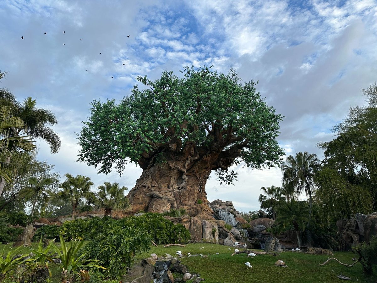 The Tree of Life on Discovery Island at Disney's Animal Kingdom