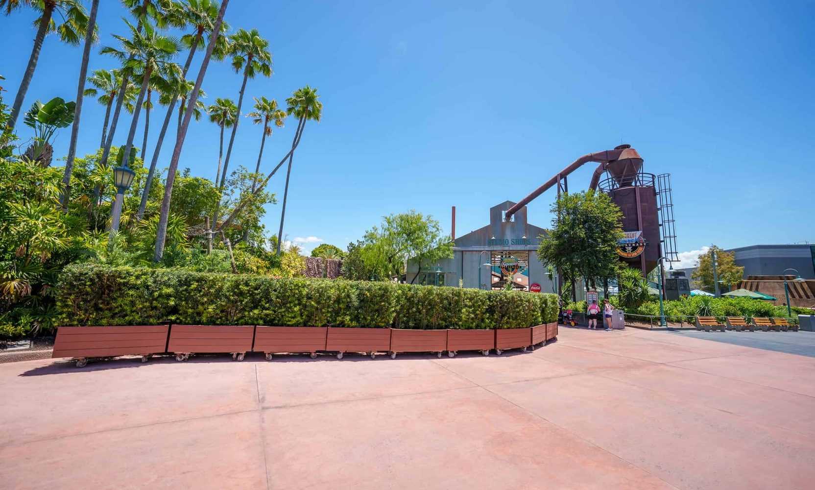 Disney Cleared a Large Tree for a Mystery Project Called Fedora, Right Next to the Indiana Jones Stunt Show at Hollywood Studios