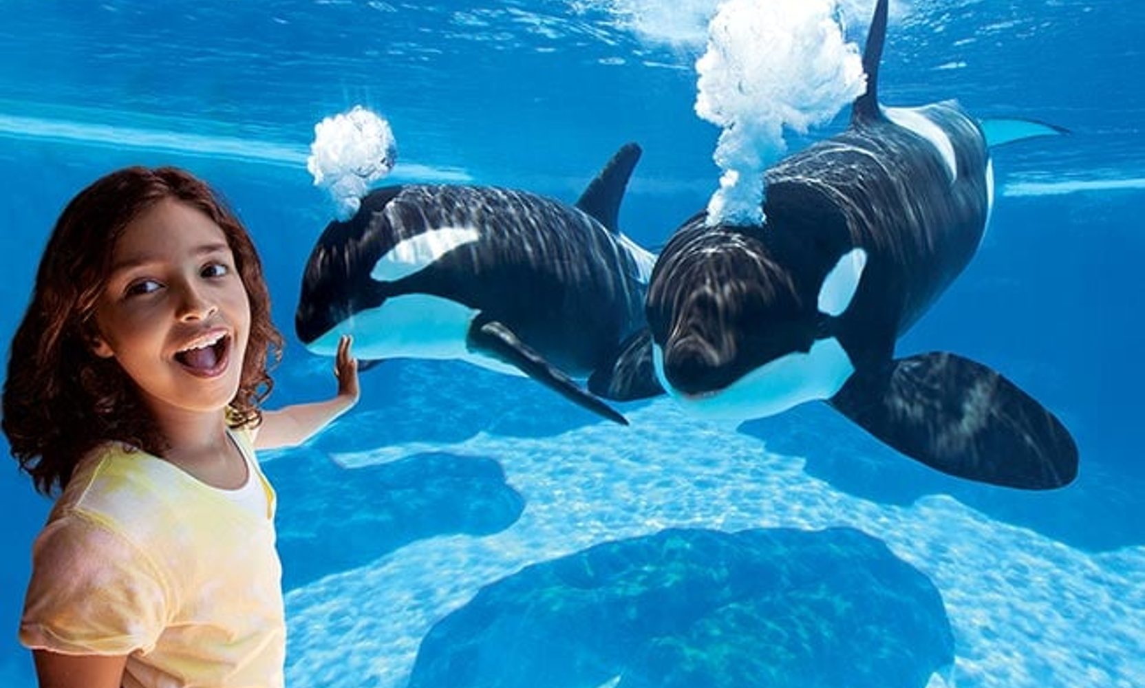 SeaWorld's Parent Company Drew 179,000 Fewer Guest Visits Last Quarter, and Its Halloween Bet Is a Slasher Movie Haunted House