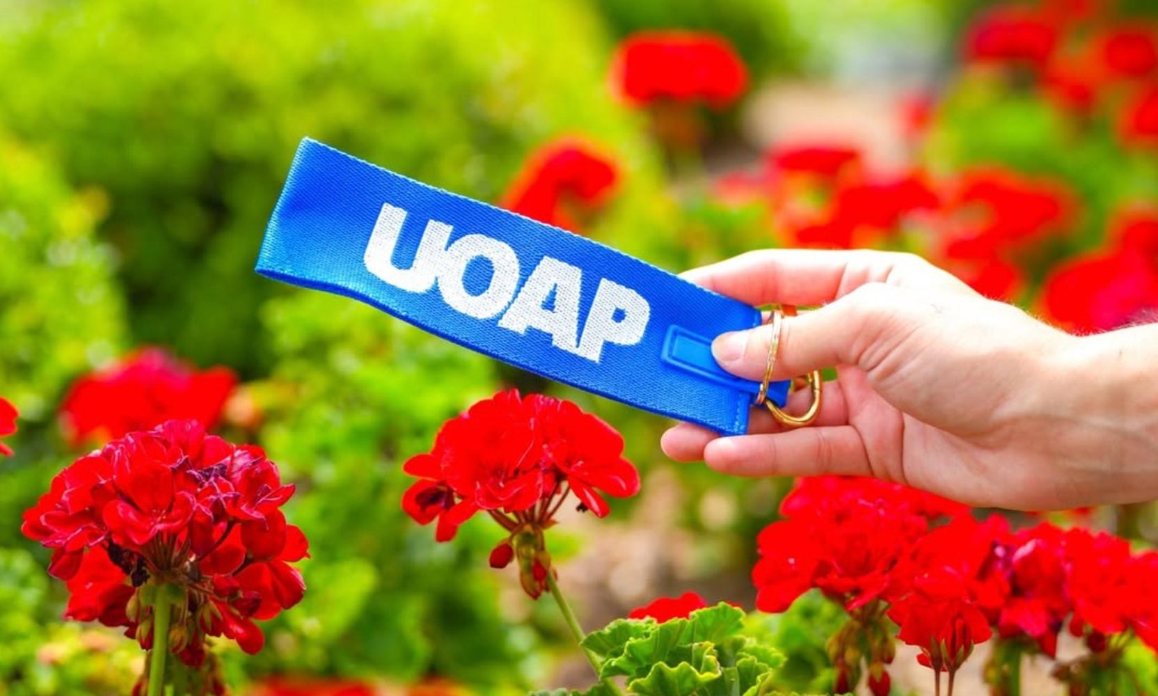 Universal Revealed Another Free Passholder Item, a Blue UOAP Wristlet Keychain, and This One Does Not Need a Fully Booked Event