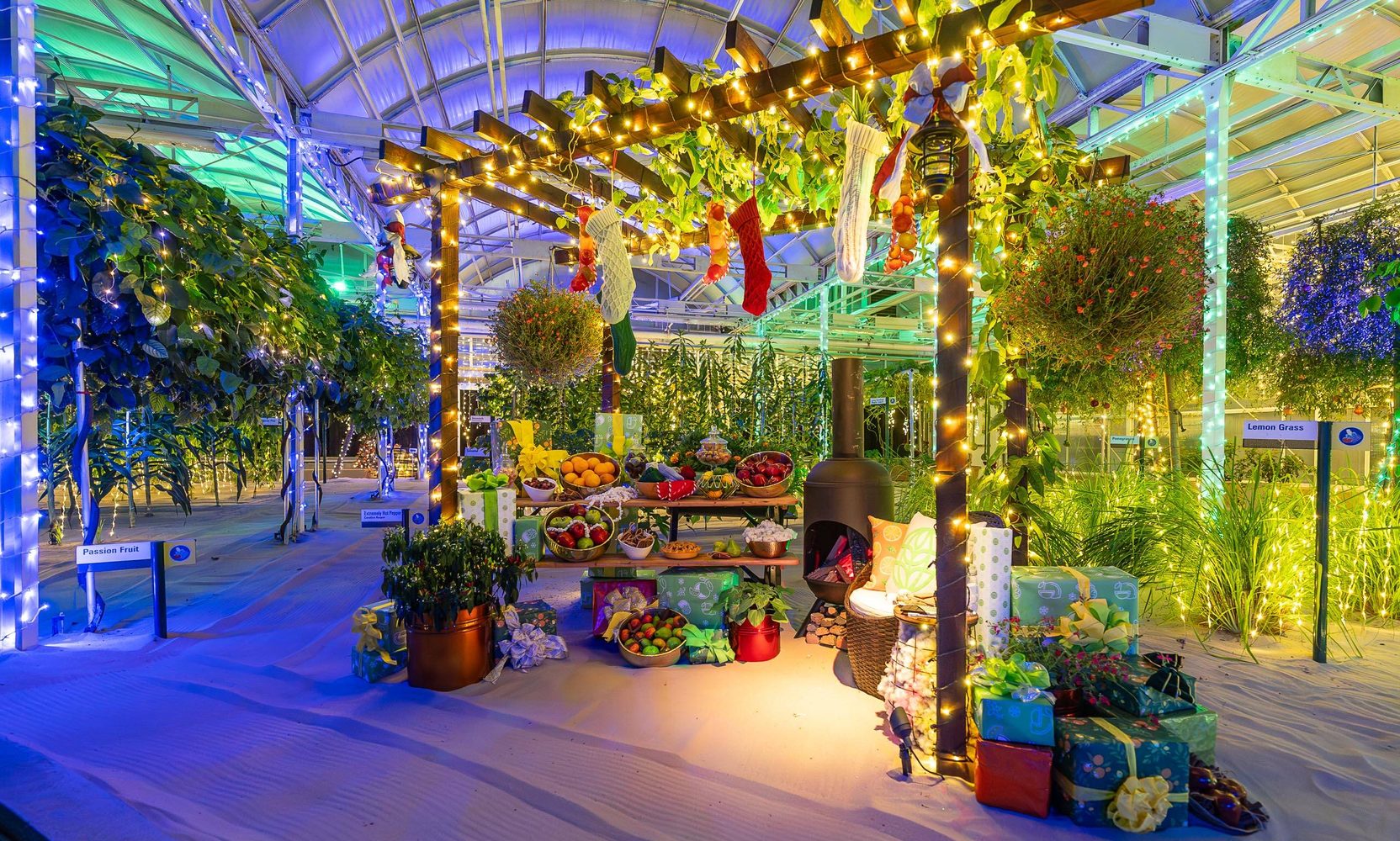 EPCOT's Glimmering Greenhouses Tour Comes Back November 27 at the Same $59 It Charged Last Year, and Booking Opens September 24