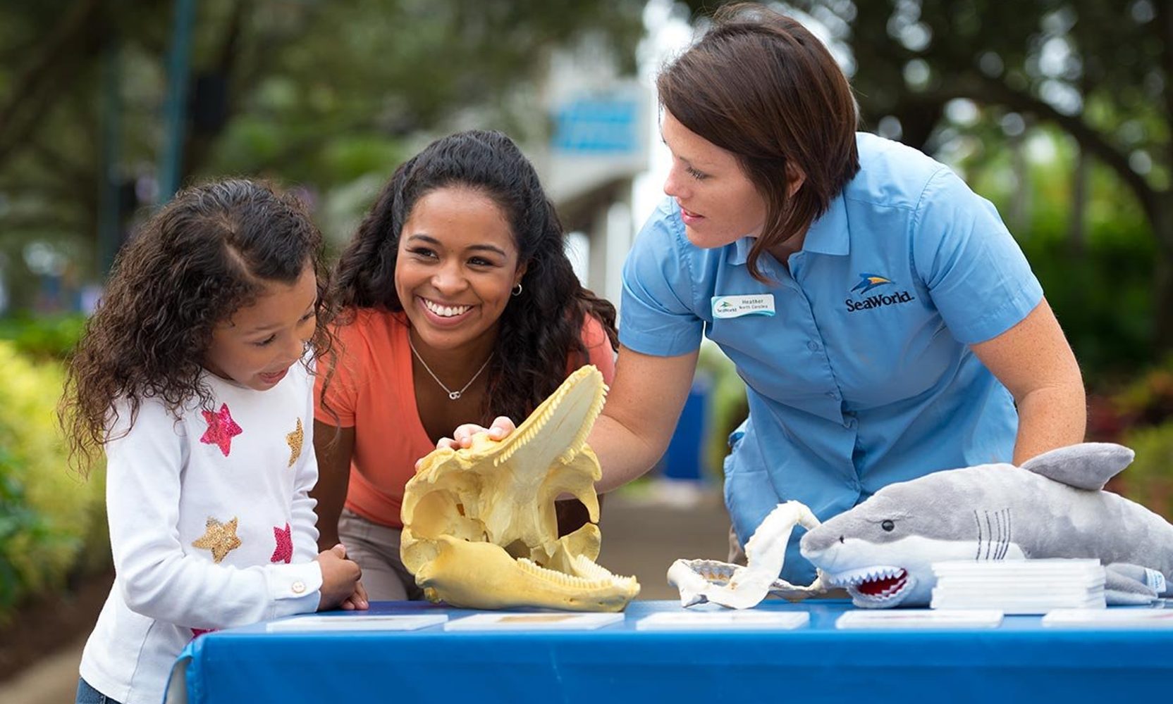 SeaWorld Orlando's 2027 Summer Day Camps Are Already Bookable, and Every Grade Is $100 Off