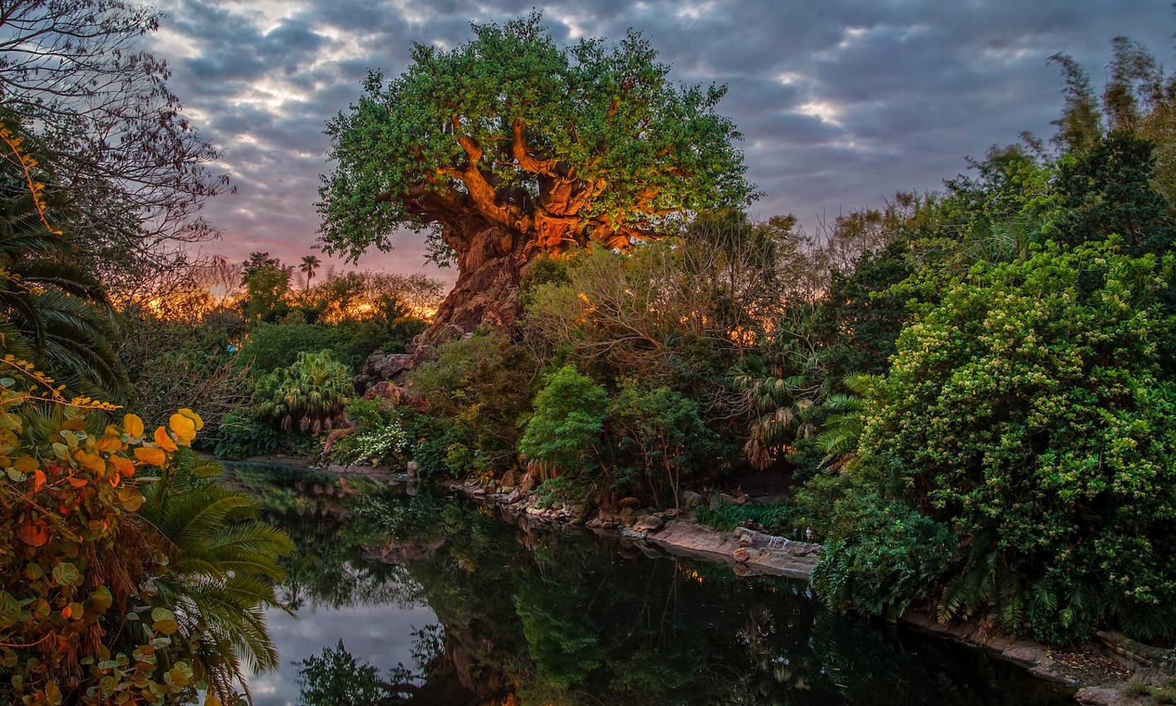 Animal Kingdom Now Stays Open Until 8pm on November 1 and 7 as Disney World Extends Hours Into Its First Holiday Party Weekend