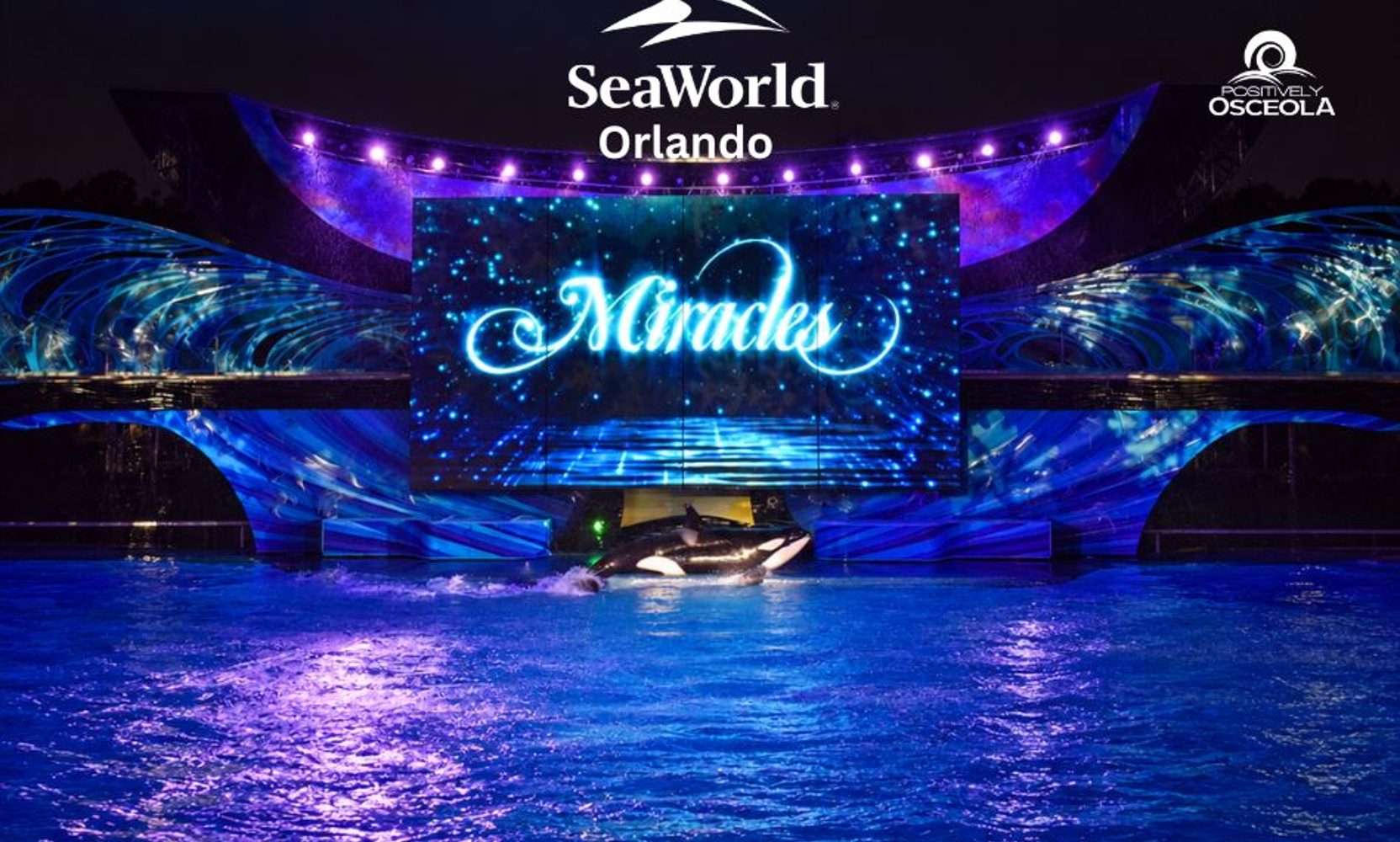 SeaWorld Orlando Is Bringing Back Miracles, Its Nighttime Christmas Orca Show, This Holiday Season, With an Exclusive Pass Member Showtime