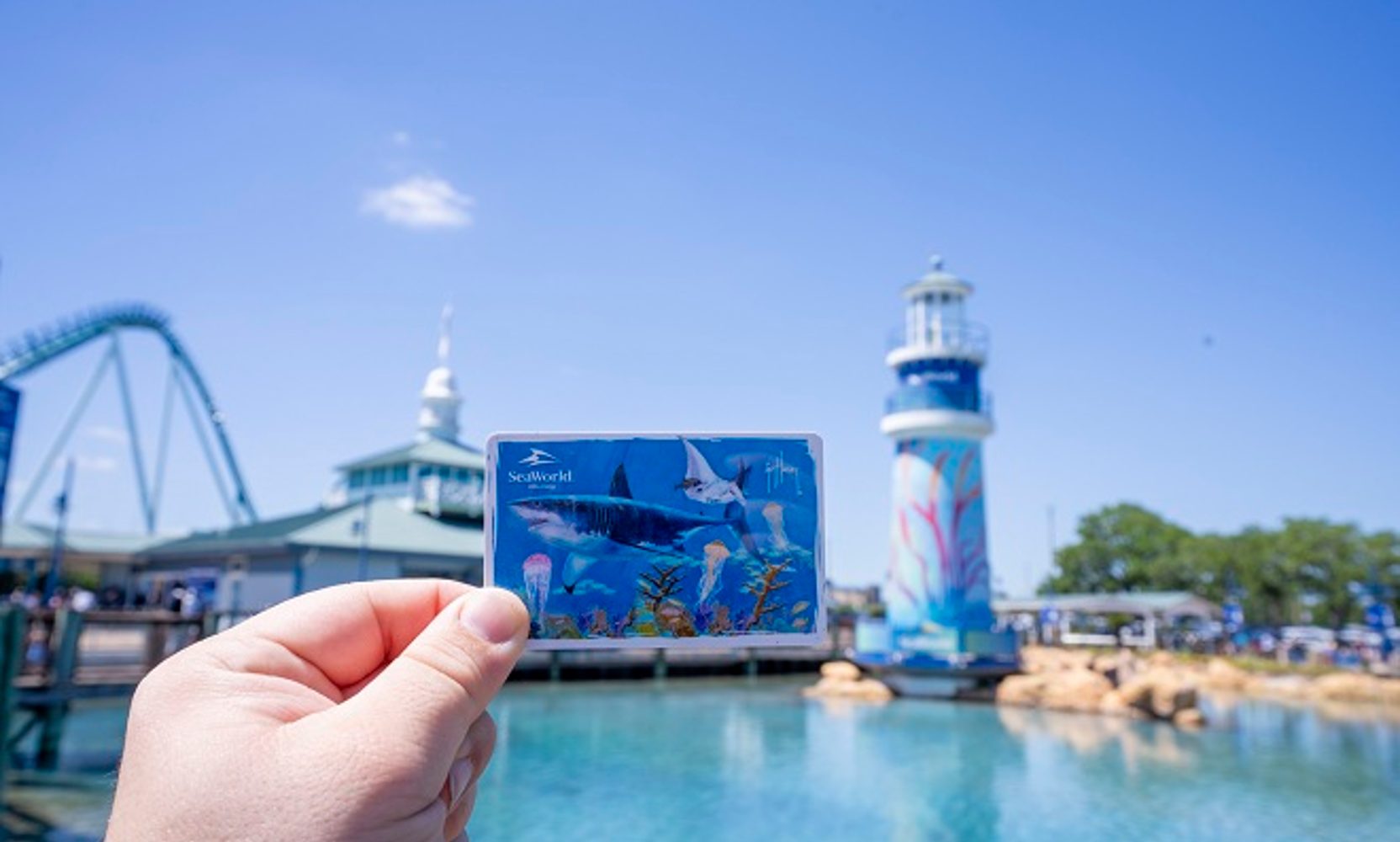 SeaWorld's 30% Pass Sale Ended Sunday, and the 25% Sale That Replaced It Raised Every Tier but Silver, With Platinum Up $24