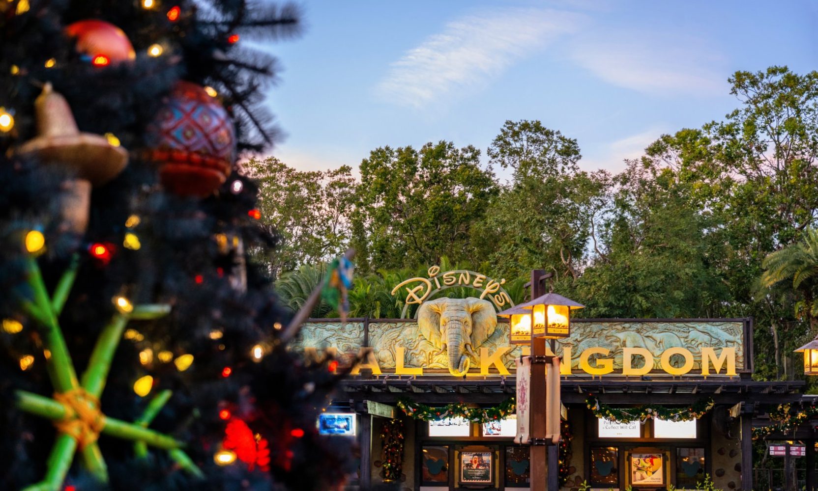 Santa Gets His Own Snowy Trail at Animal Kingdom This Year in Santa's Holiday Grove, Across From Theater in the Wild