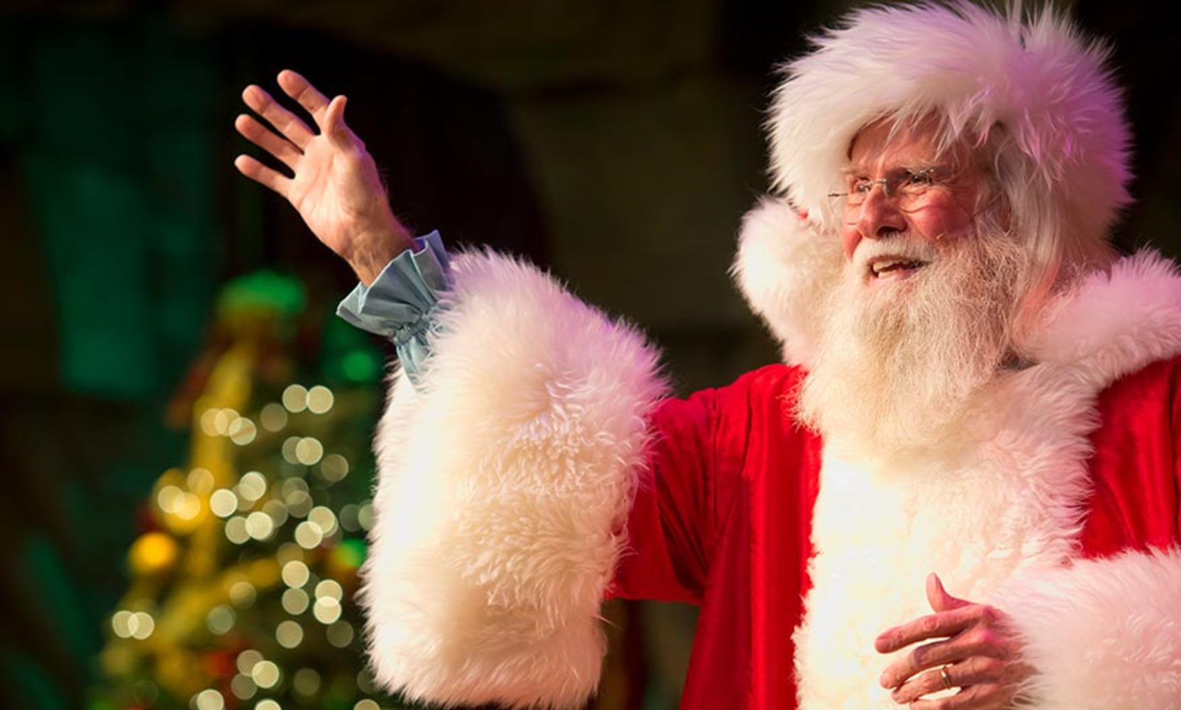 SeaWorld's $249.99 Christmas VIP Tour Includes Reserved Seats at Miracles, the Returning Nighttime Orca Show