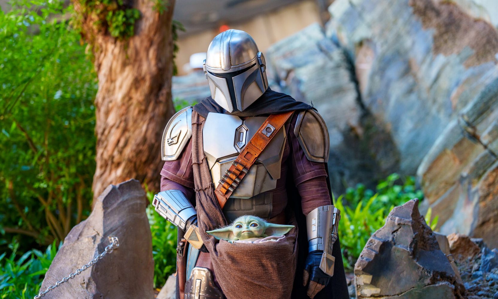 The Mandalorian and Grogu Get a Set Meet-and-Greet Spot Beside the Millennium Falcon, and Chewbacca Moves to Their Old One