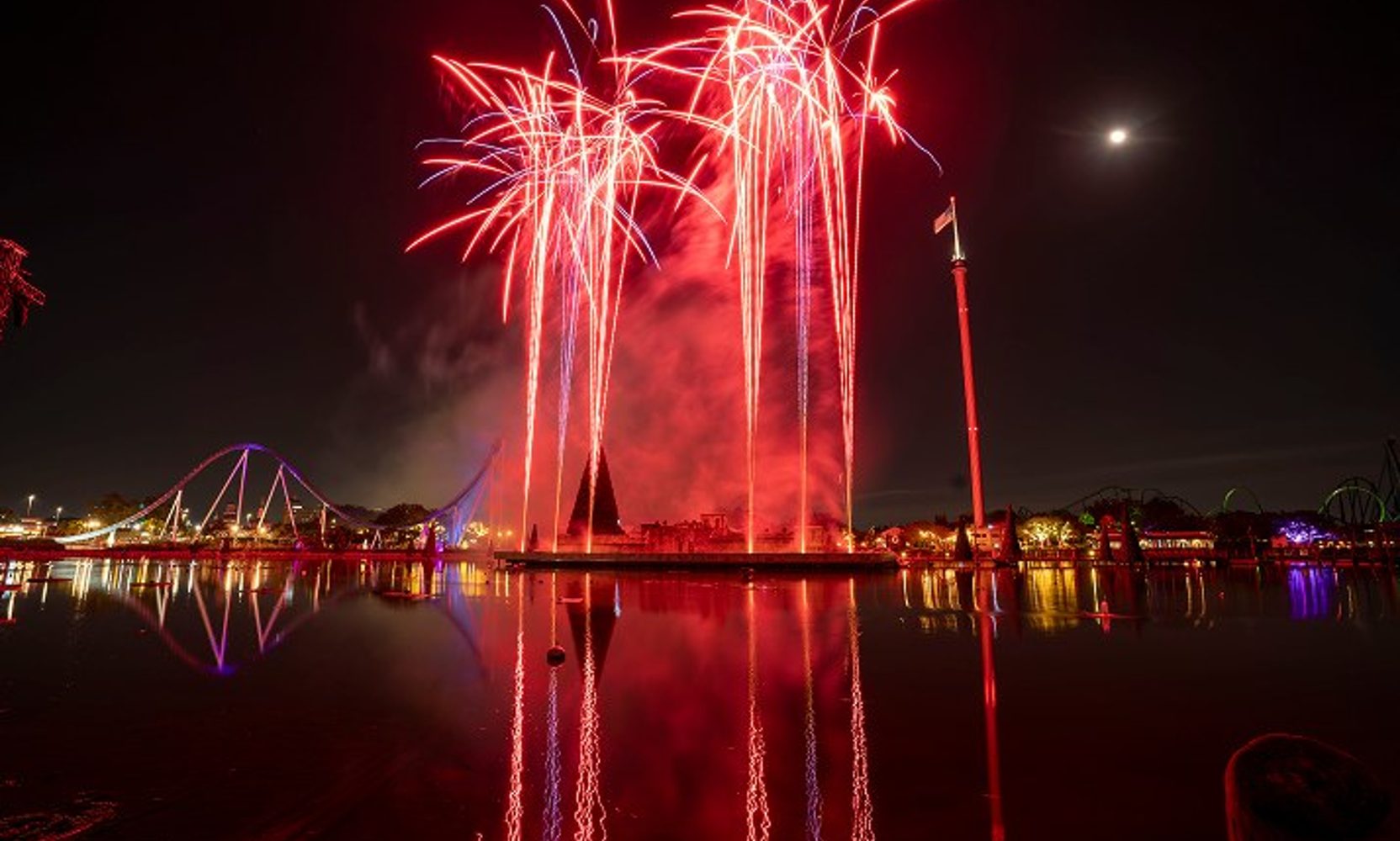 SeaWorld Orlando Sets Veterans Weekend for November 13 to 15, With Nightly Fireworks and a New Sea Otter Character