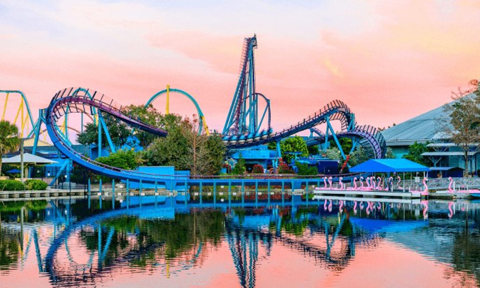 Mako Is Running Again at SeaWorld Orlando, a Week After It Closed Following the Goliath Death in Georgia