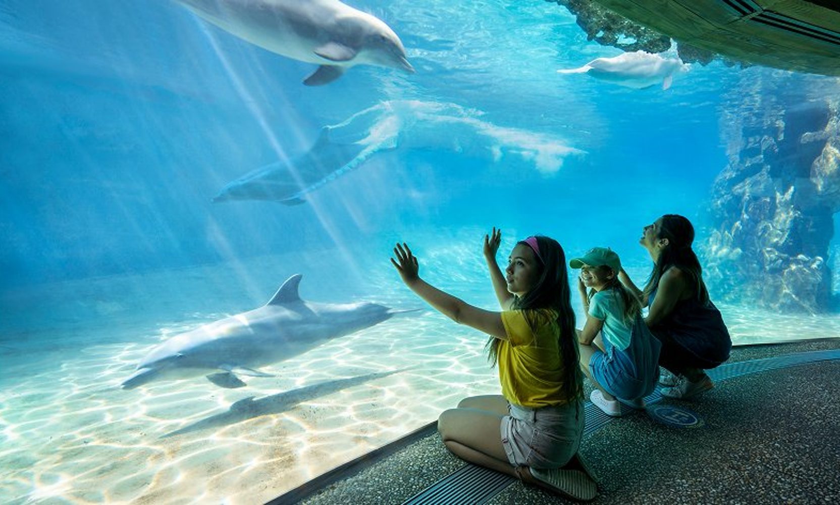 SeaWorld and Aquatica Pass Members Get Two More Free Guest Tickets, Good Through October 31, Plus an Extra $10 at SeaWorld This Week