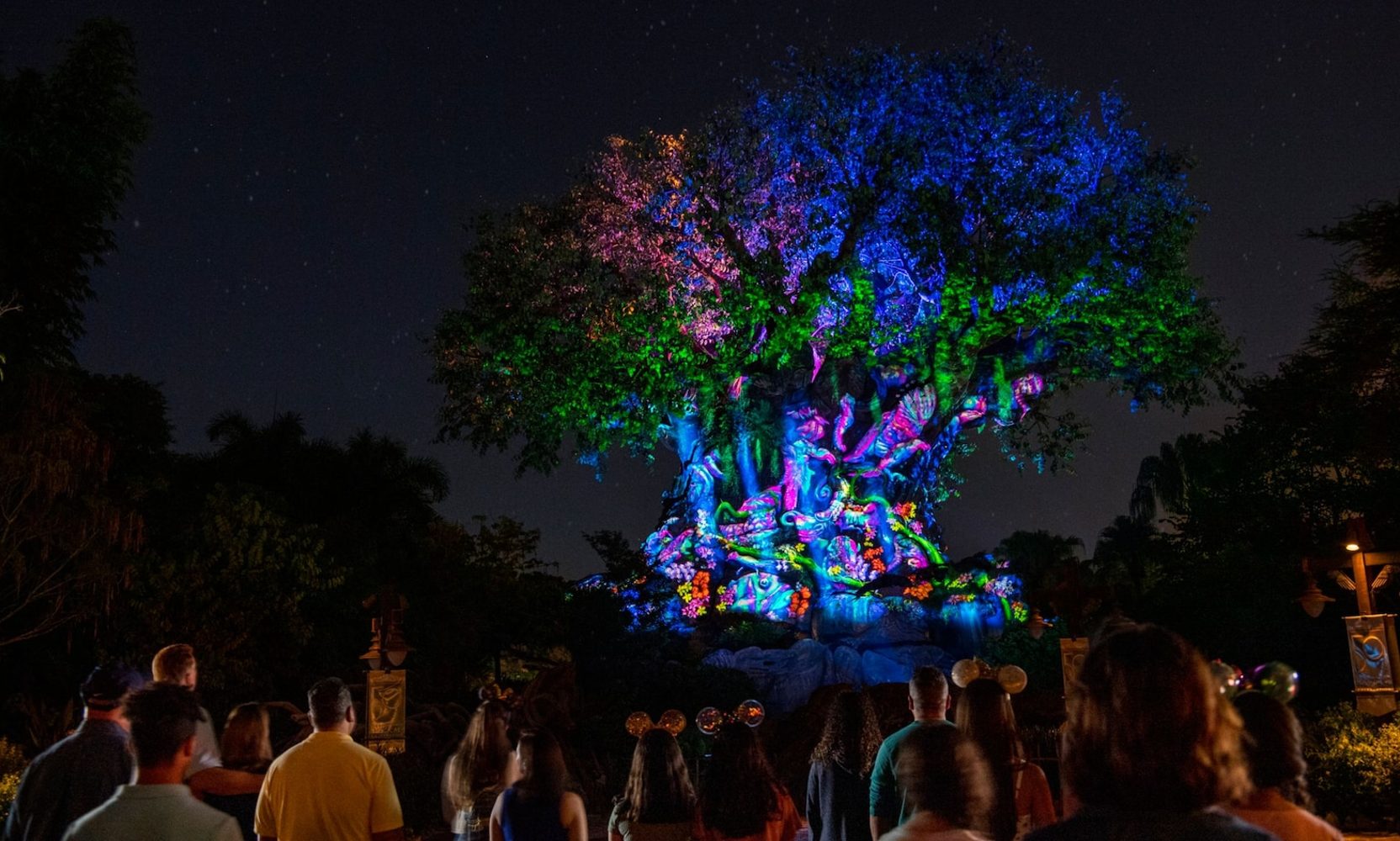 Tree of Life Awakenings Returns to Animal Kingdom November 1, but Skips November 3 and 4 Because the Park Closes at 6pm