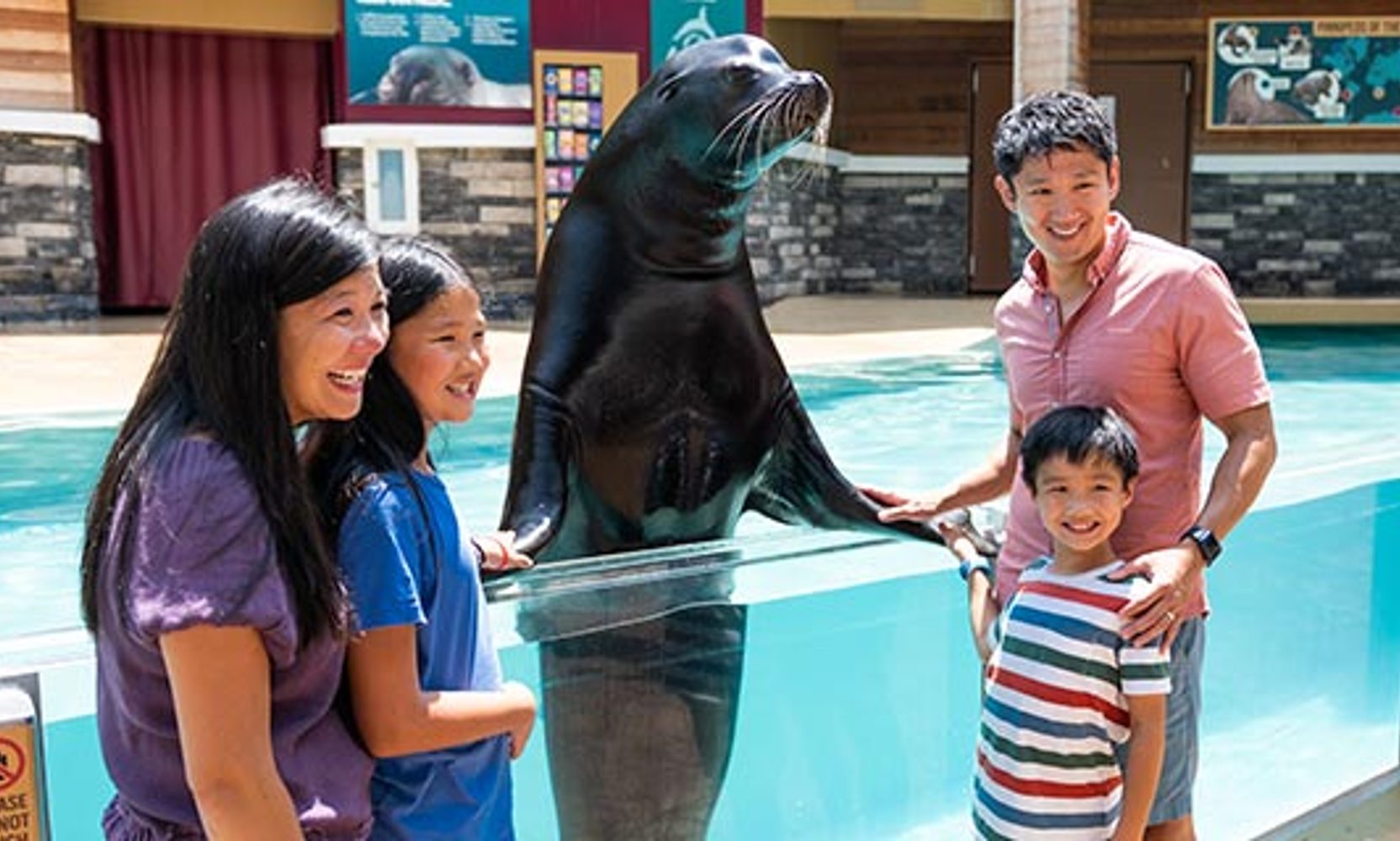 SeaWorld Orlando's November Pass Member Perks Are Out: a Free Quick Queue November 1 to 9, but No Free Guest Ticket Yet