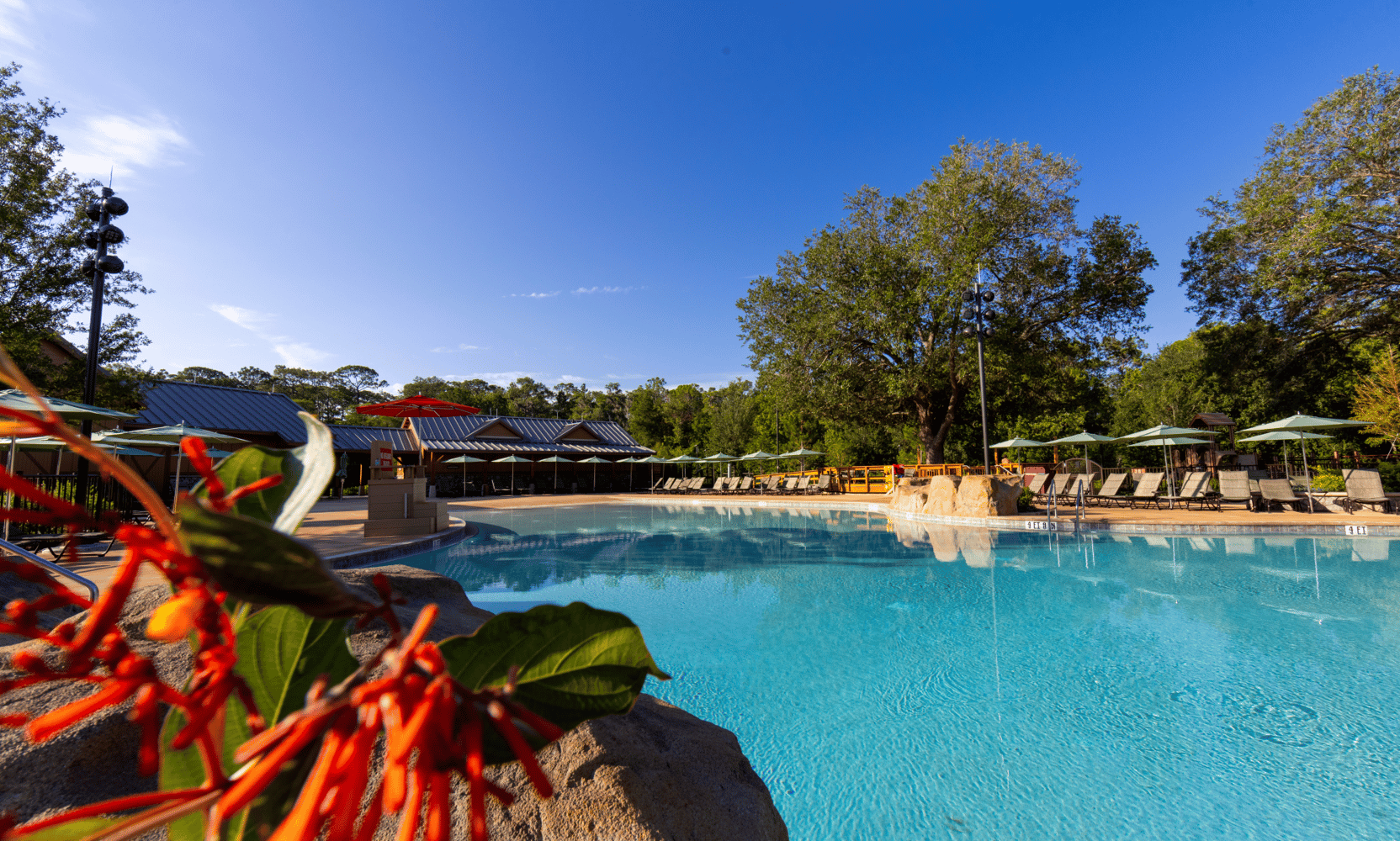 Fort Wilderness Pools: A Guide to the Expanded Meadow Swimmin' Pool