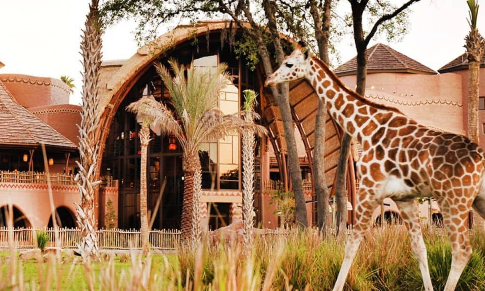 Jambo, 25 Years: Disney's Animal Kingdom Lodge Turns a Quarter-Century