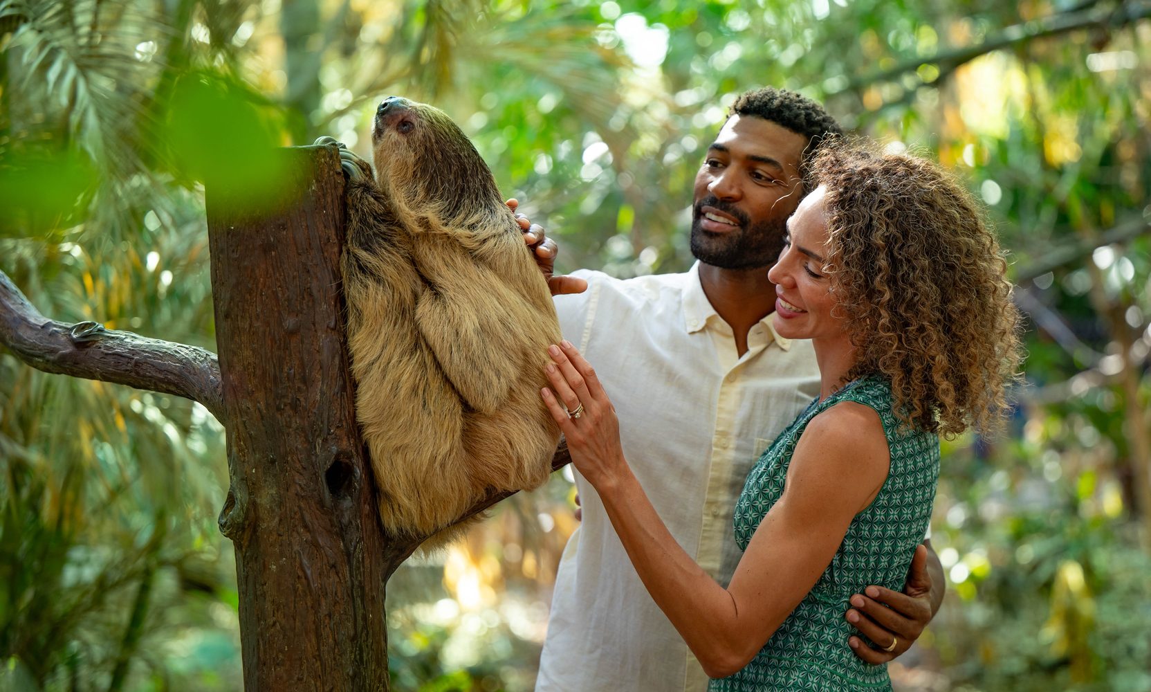 After 8 Years, Discovery Cove's Paradise Nights Returns June 5 with a New Sloth Encounter