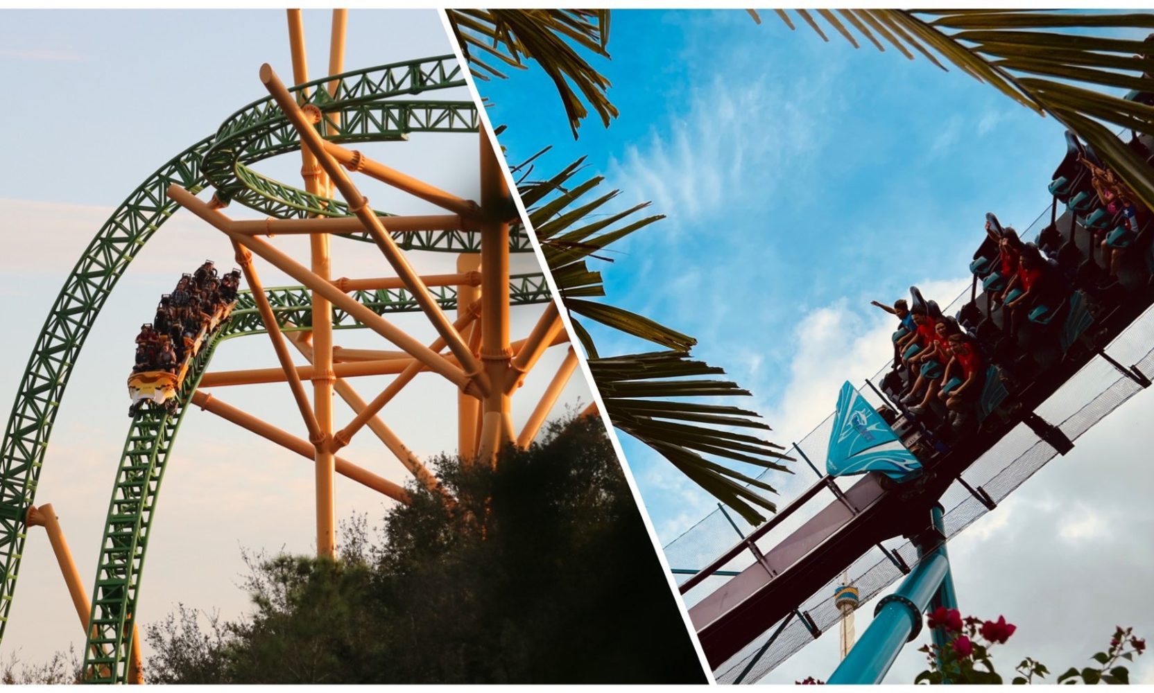 Free SeaWorld Day for Veterans, with a Hard May 10 Deadline: How U.S. Veterans Get In Free for Military Appreciation Month (Plus Active-Duty Year-Round Benefit)