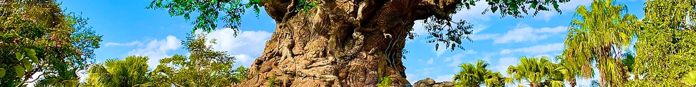 Animal Kingdom