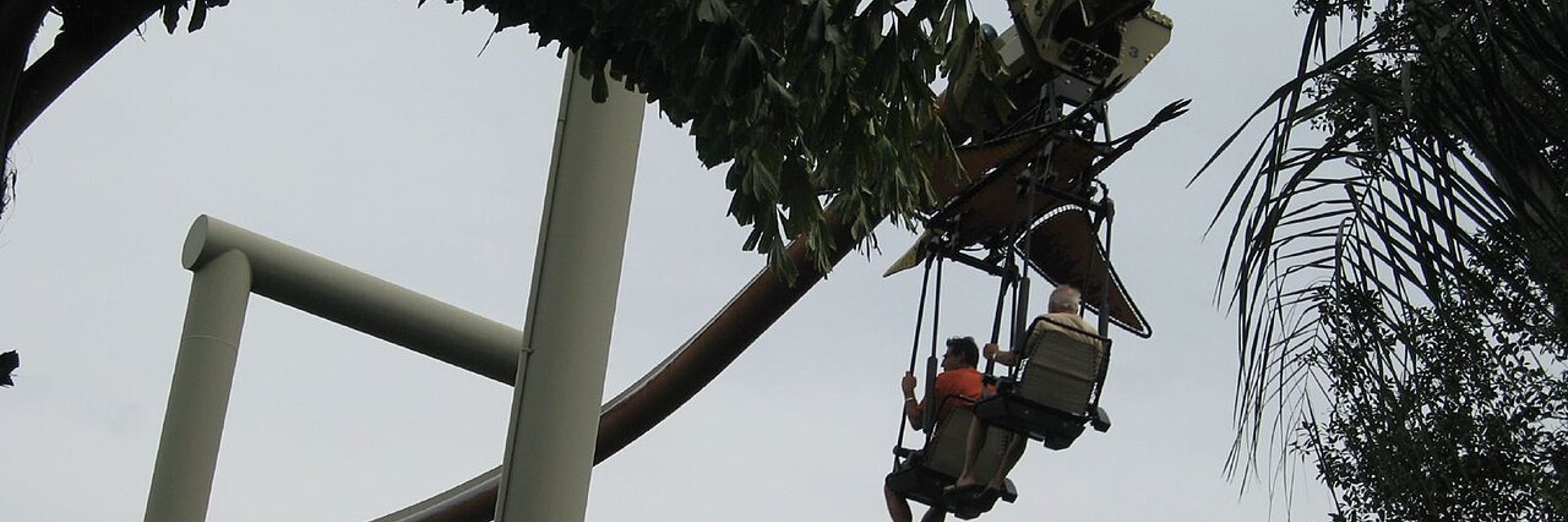 Pteranodon Flyers