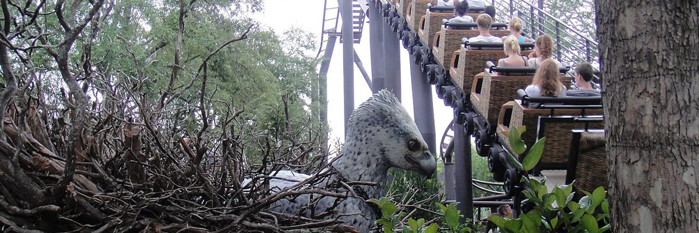 Flight of the Hippogriff