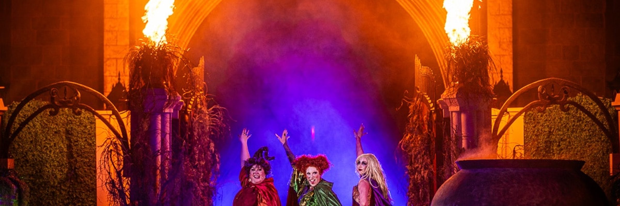 Mickey's Not-So-Scary Halloween Party