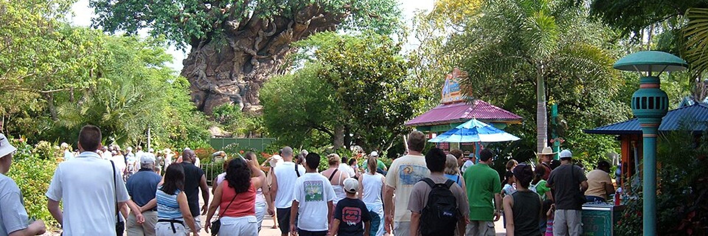 Flame Tree Barbecue