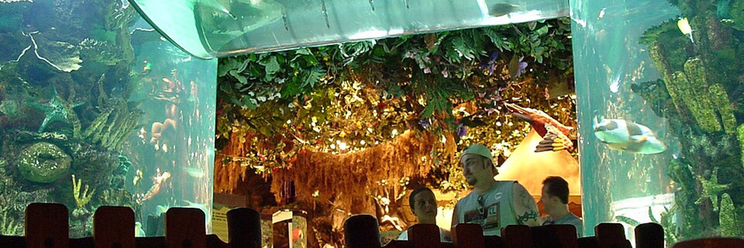 Rainforest Cafe