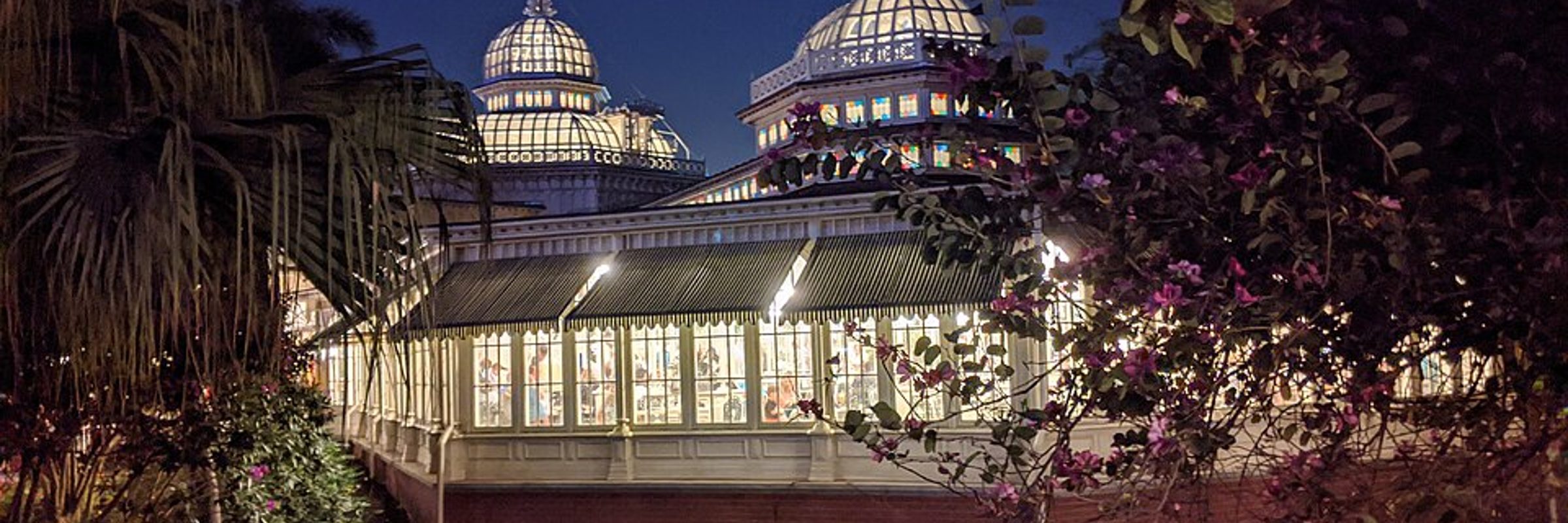 The Crystal Palace