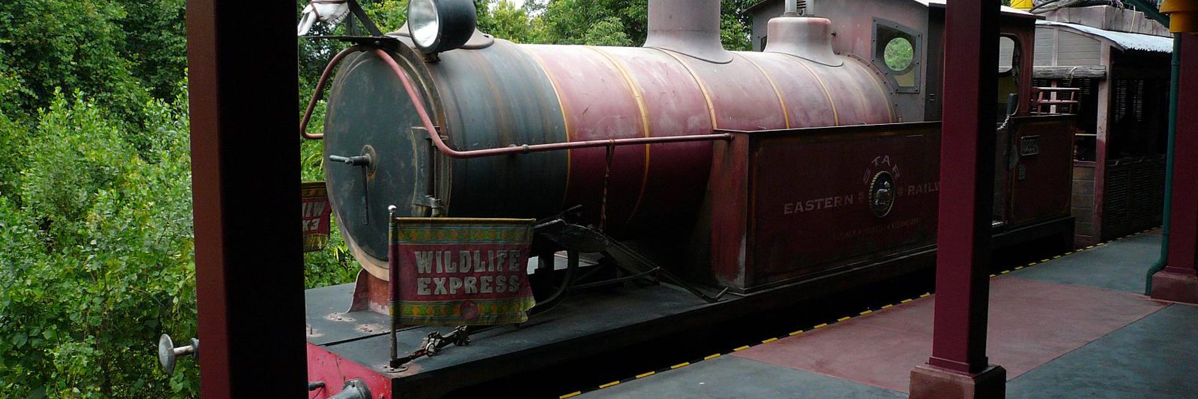 Wildlife Express Train
