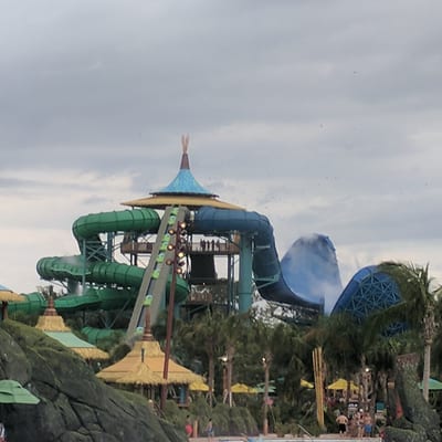 Honu ika Moana