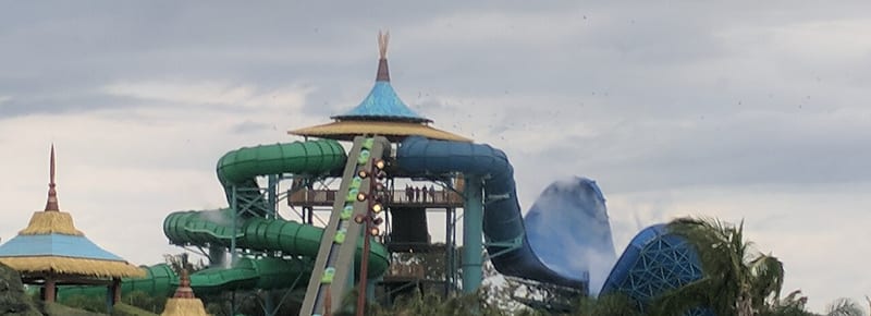 Honu ika Moana