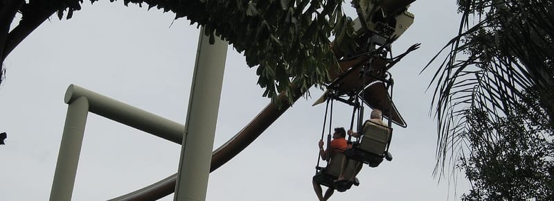 Pteranodon Flyers