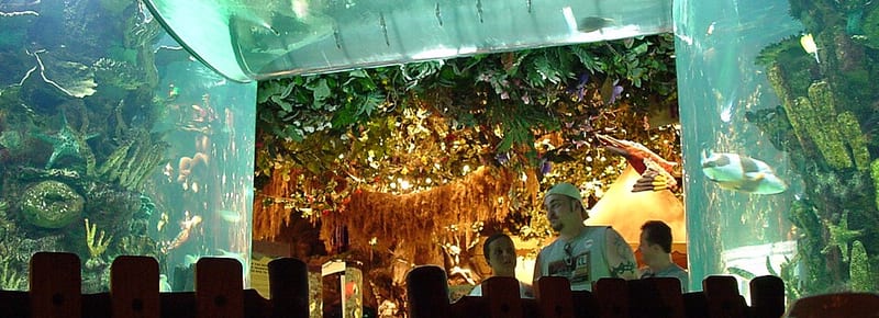 Rainforest Cafe