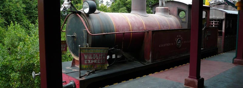 Wildlife Express Train