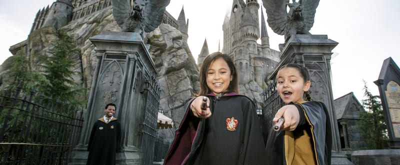 Dark Arts at Hogwarts Castle
