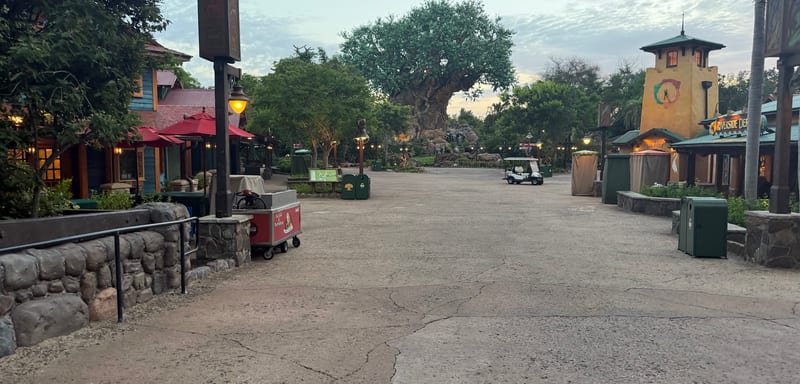 Disney's Animal Kingdom Is Testing a New Rope Drop That Moves the Morning Wait to Discovery Island