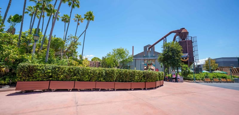 Disney Cleared a Large Tree for a Mystery Project Called Fedora, Right Next to the Indiana Jones Stunt Show at Hollywood Studios