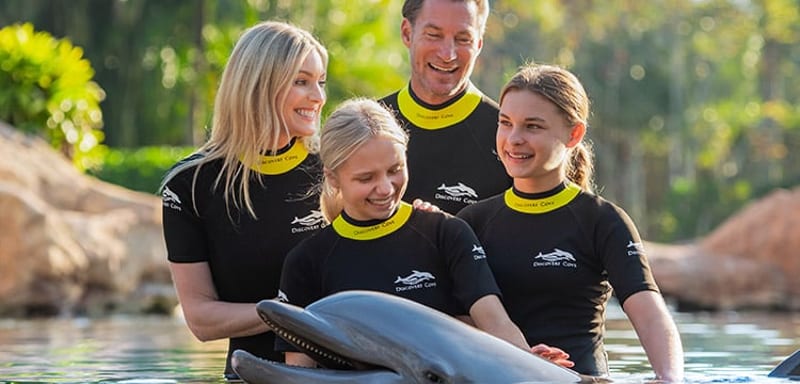 Discovery Cove's 30% discount now reaches into 2027, and the booking window closes September 13