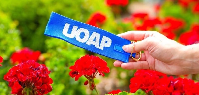 Universal Revealed Another Free Passholder Item, a Blue UOAP Wristlet Keychain, and This One Does Not Need a Fully Booked Event