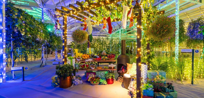 EPCOT's Glimmering Greenhouses Tour Comes Back November 27 at the Same $59 It Charged Last Year, and Booking Opens September 24