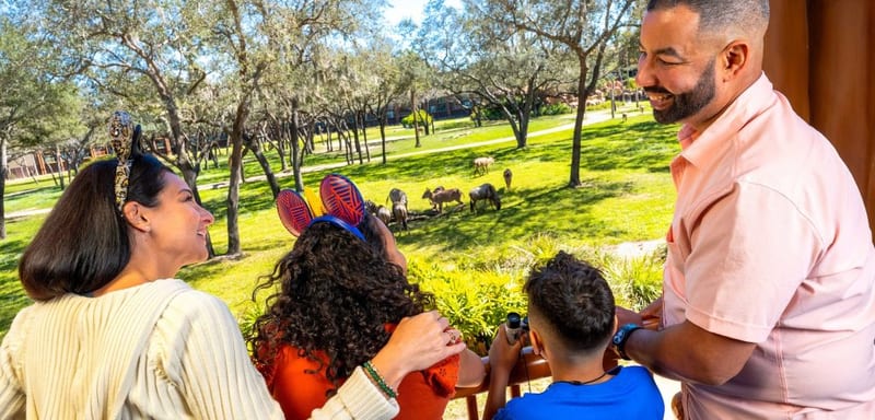 Disney's Spring 2027 Package Offer Headlines Up to $250 a Night, and Its Own Table Says $40 at Pop Century in January
