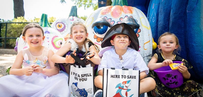 SeaWorld Is Giving the First 1,000 Kids a Free Trick-or-Treat Bag Saturday and Sunday, and Its Own Page Names Two Pickup Spots