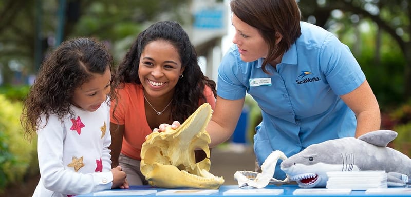 SeaWorld Orlando's 2027 Summer Day Camps Are Already Bookable, and Every Grade Is $100 Off