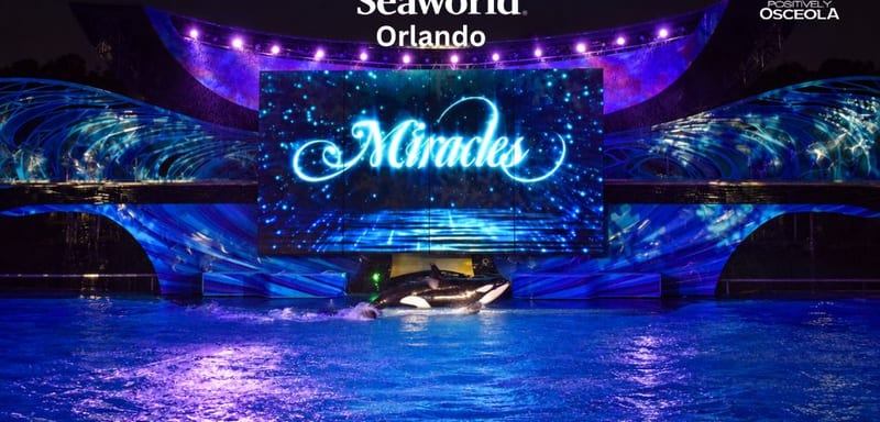 SeaWorld Orlando Is Bringing Back Miracles, Its Nighttime Christmas Orca Show, This Holiday Season, With an Exclusive Pass Member Showtime