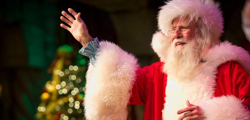 SeaWorld's $249.99 Christmas VIP Tour Includes Reserved Seats at Miracles, the Returning Nighttime Orca Show