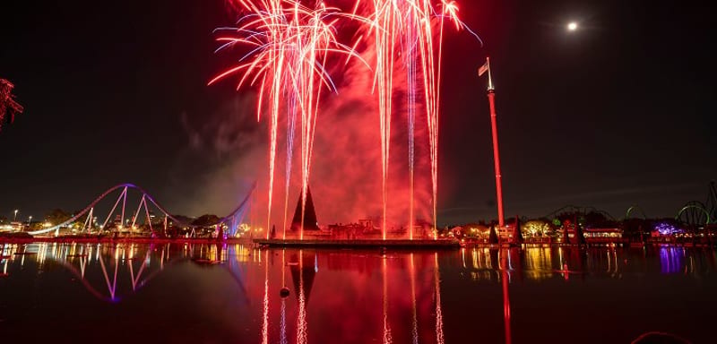 SeaWorld Orlando Sets Veterans Weekend for November 13 to 15, With Nightly Fireworks and a New Sea Otter Character