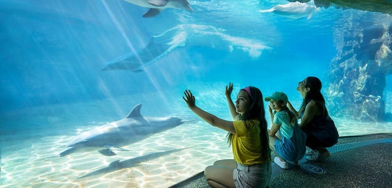 SeaWorld and Aquatica Pass Members Get Two More Free Guest Tickets, Good Through October 31, Plus an Extra $10 at SeaWorld This Week