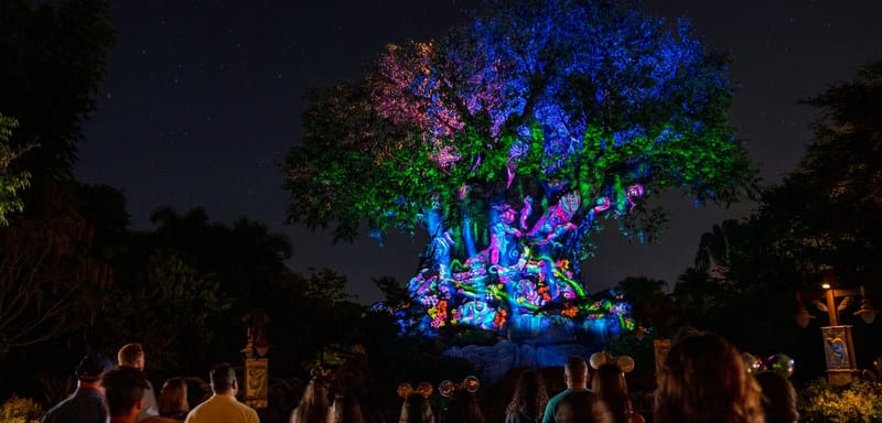 Tree of Life Awakenings Returns to Animal Kingdom November 1, but Skips November 3 and 4 Because the Park Closes at 6pm