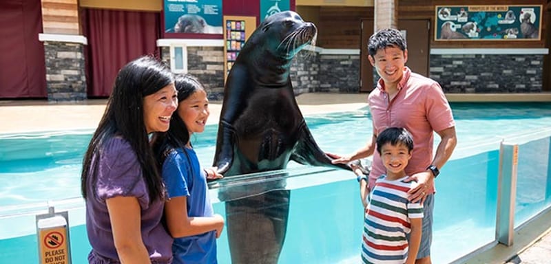 SeaWorld Orlando's November Pass Member Perks Are Out: a Free Quick Queue November 1 to 9, but No Free Guest Ticket Yet